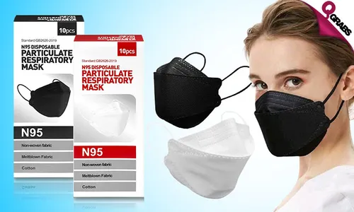 N95 Face Masks: Box of TEN!